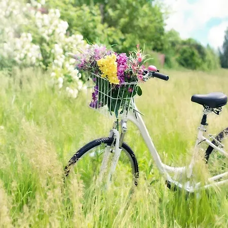 Homes Close To The Dom wakacyjny